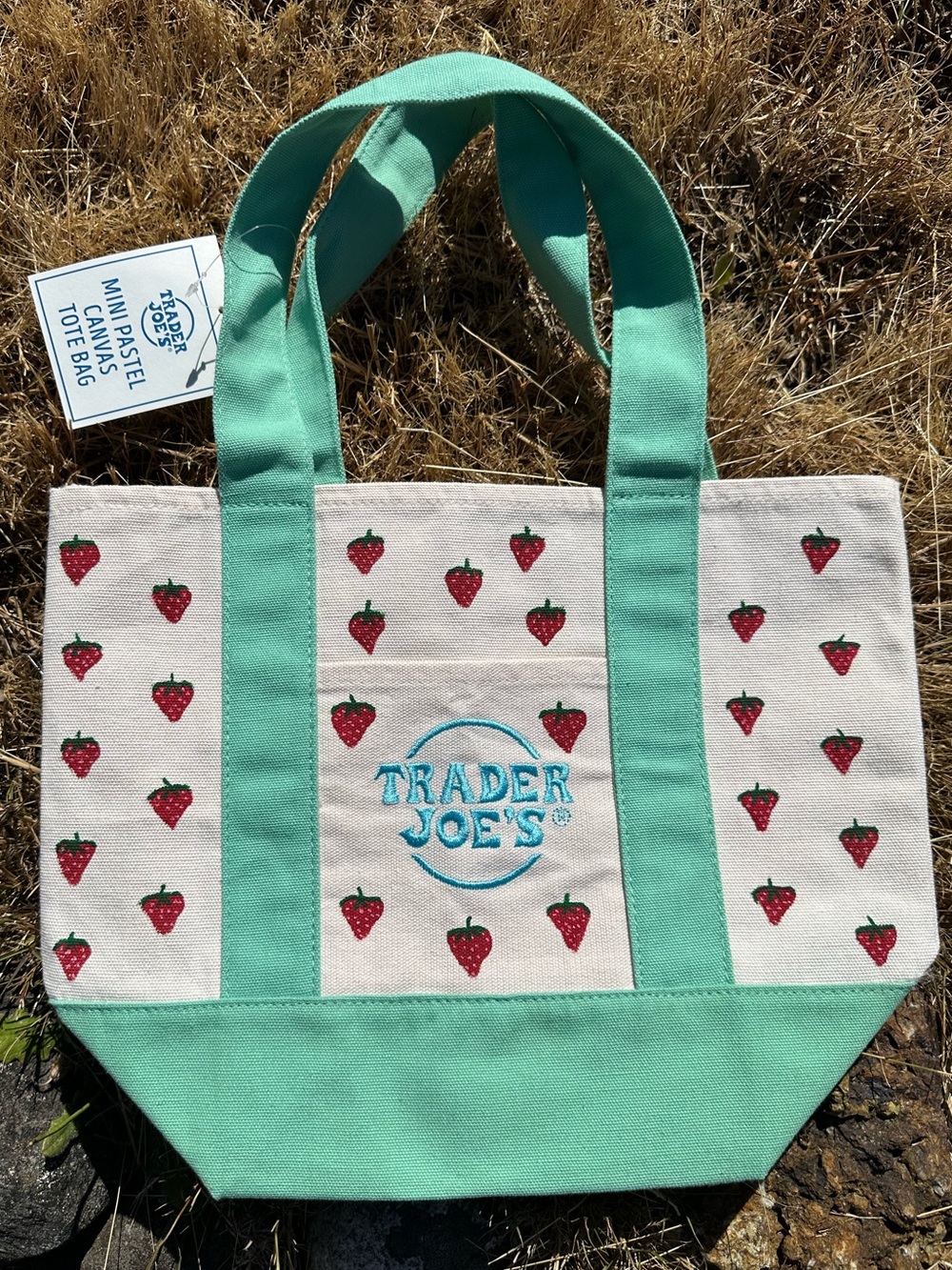 Hand Painted Trader Joe's Strawberry Mini Canvas Tote